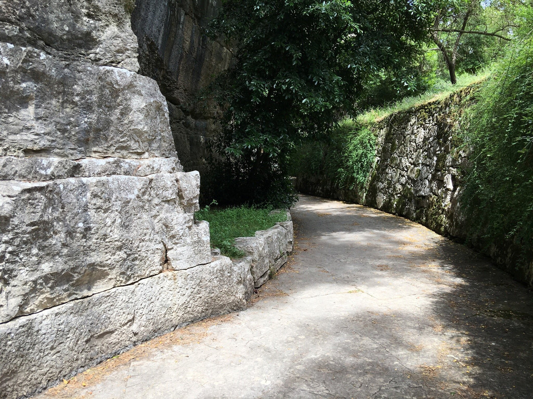 Koch's Trail