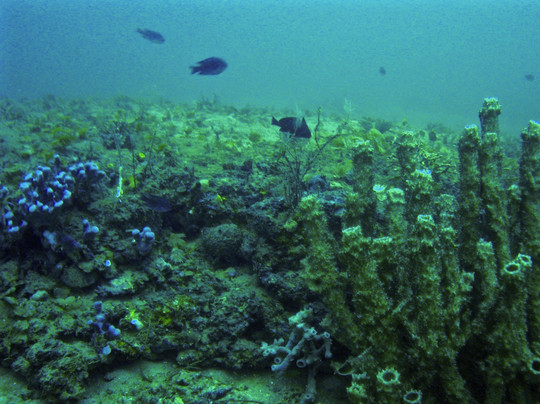 Anchor Management Crew LLC-华尔顿堡滩必去景点