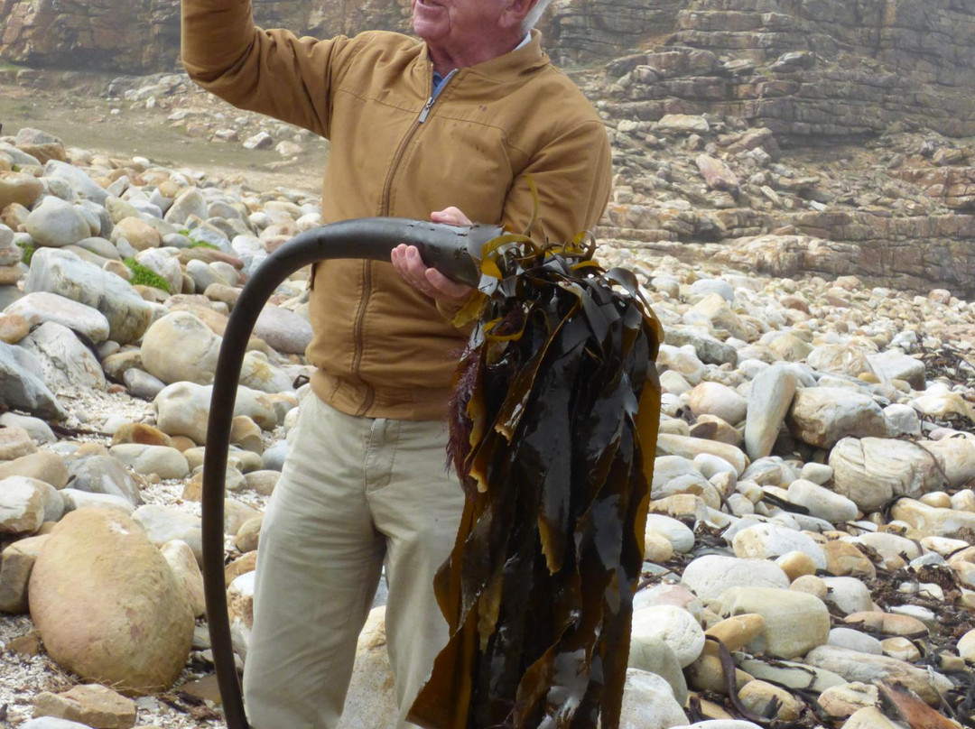 Cape Fun Tours-西门镇必去景点