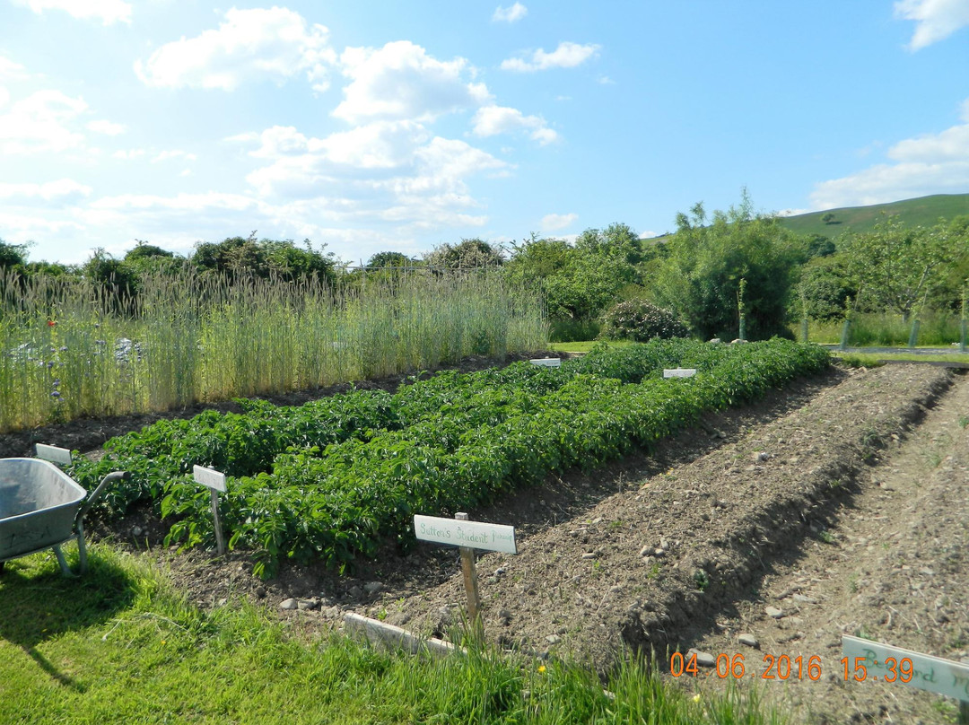 Irish Seed Savers