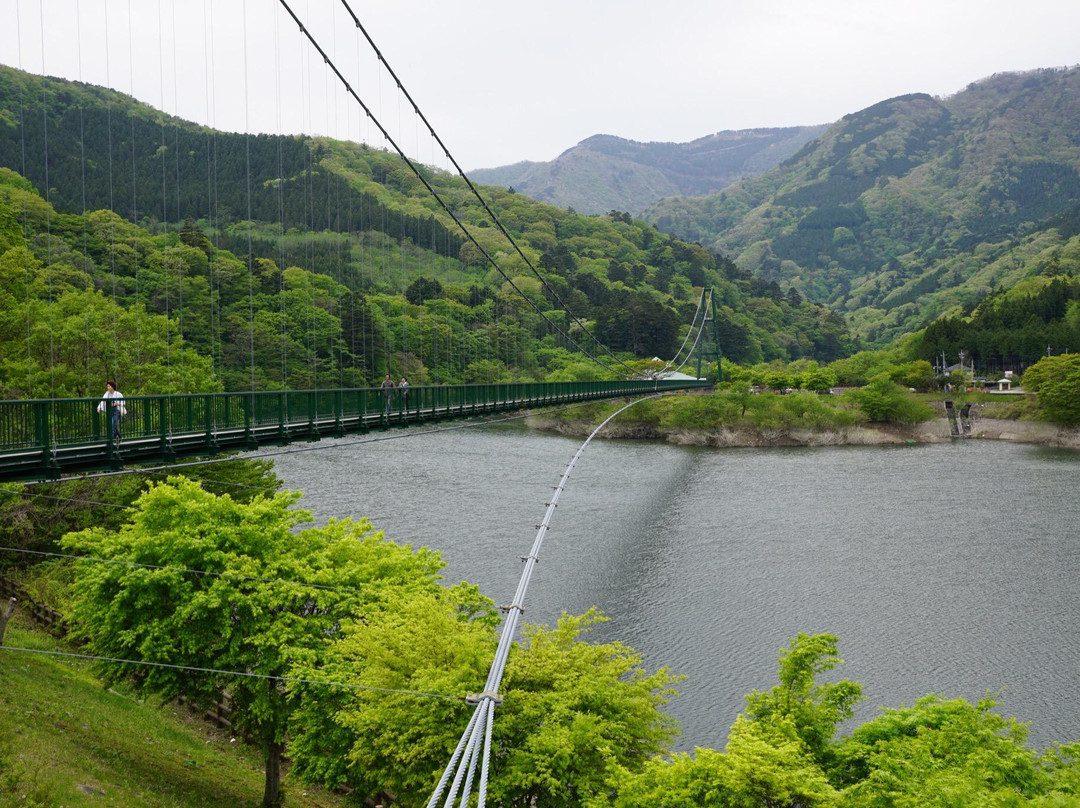 Momijidani Suspension Bridge景点图片