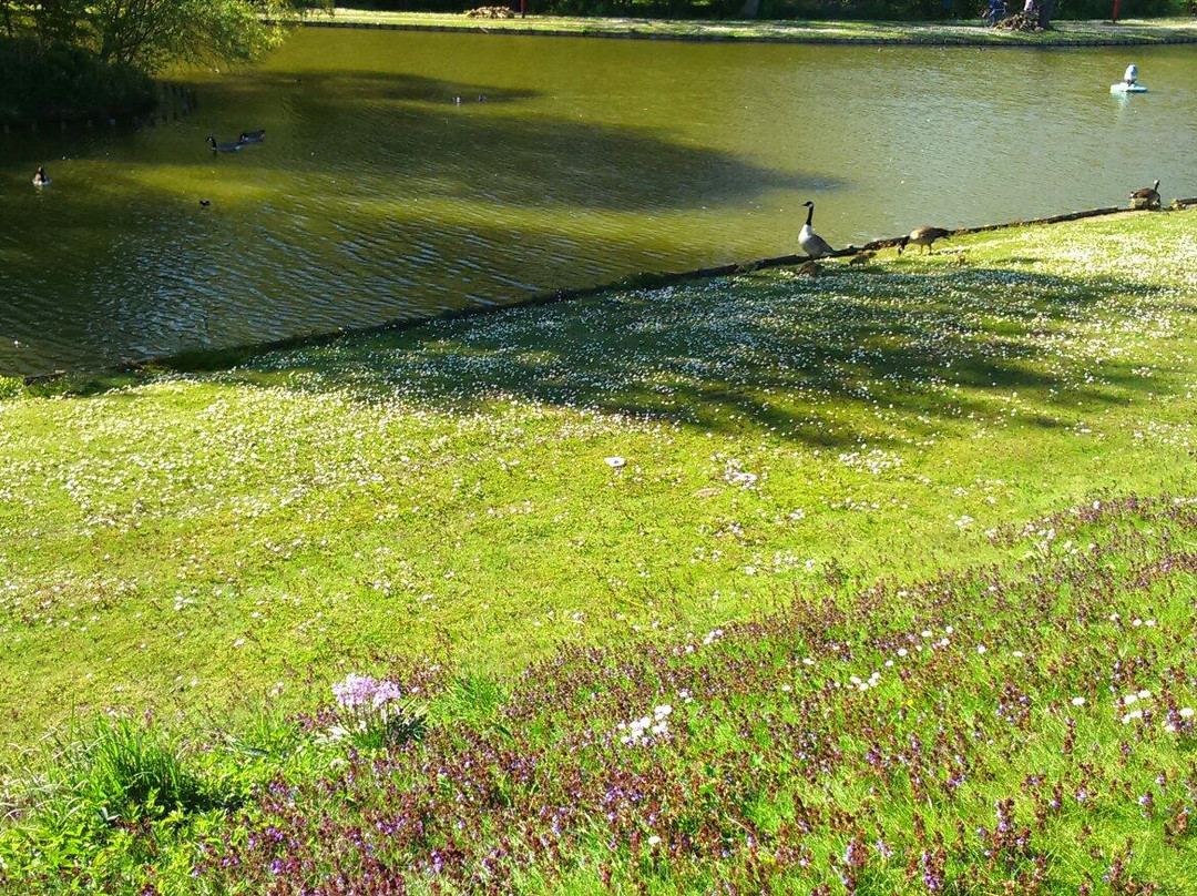 De Beemden-Landen必去景点