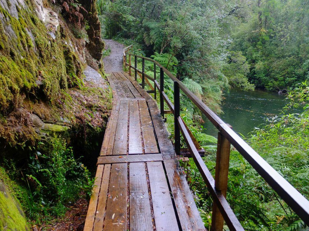 Parque Nacional Alerce Andino景点图片