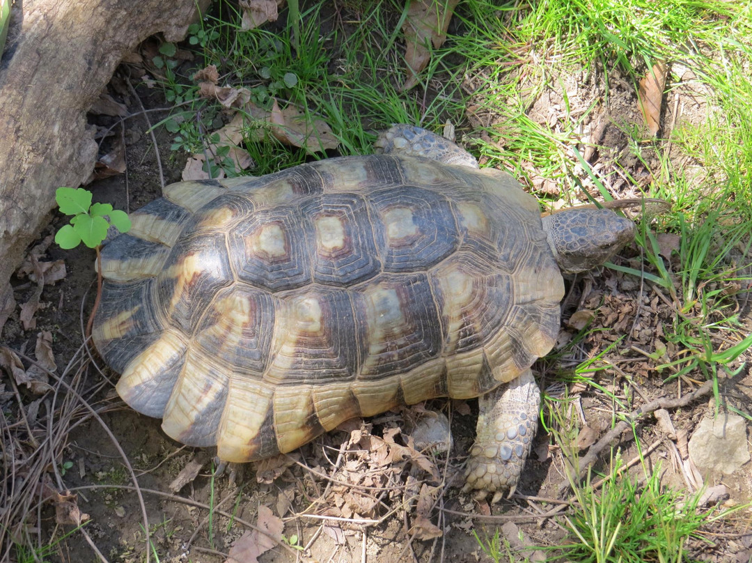 Kentucky Reptile Zoo-Slade必去景点