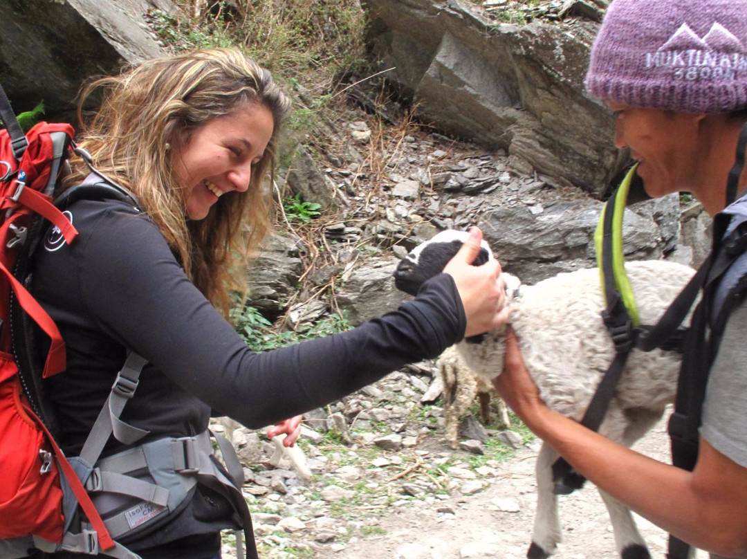 Everest Hiking Treks & Expedition - Day Tours-Kirtipur必去景点