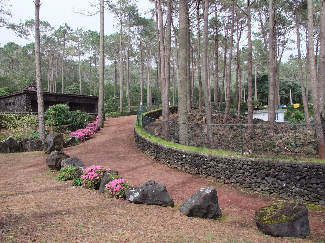 Parque Florestal de Sao Joao景点图片