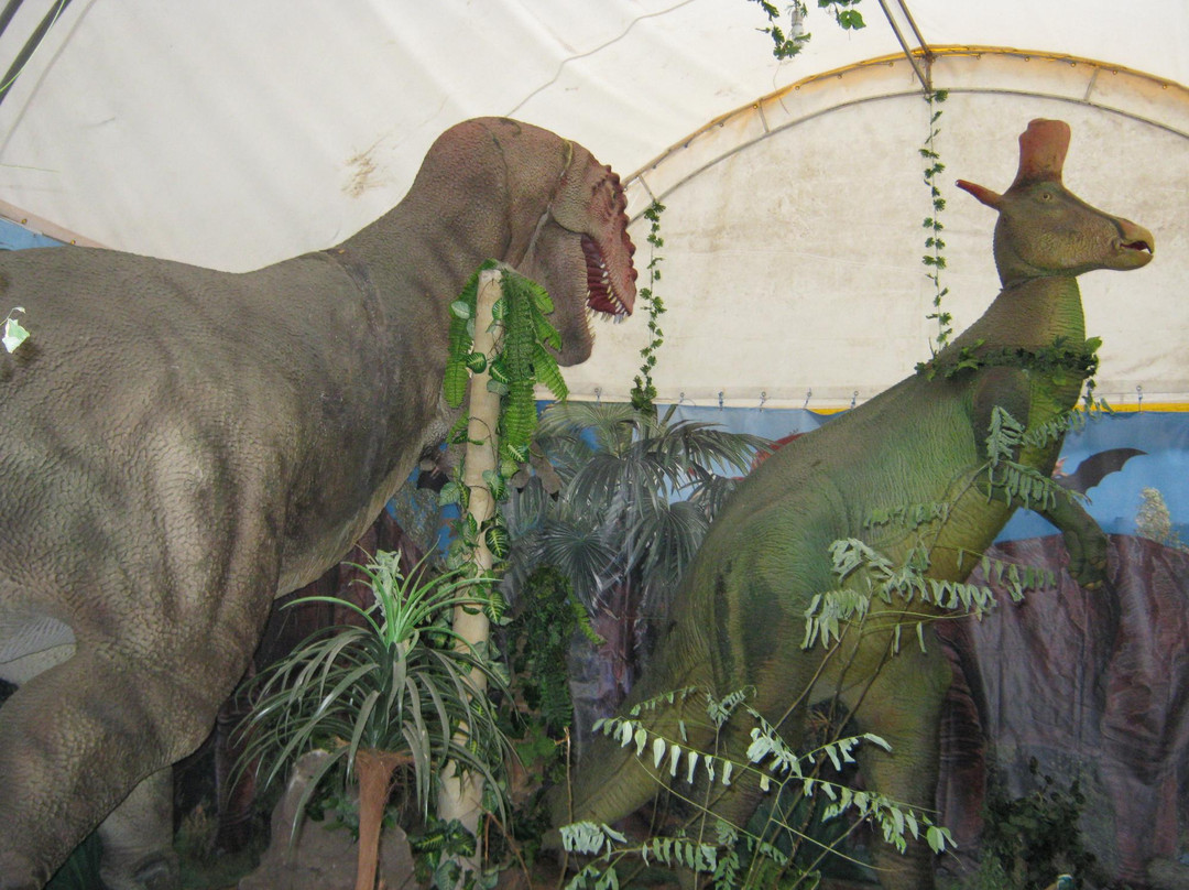 Exposition of Dinosaurs-阿卢什塔必去景点
