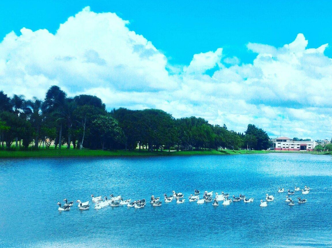 Parque Lacustre-Castro必去景点