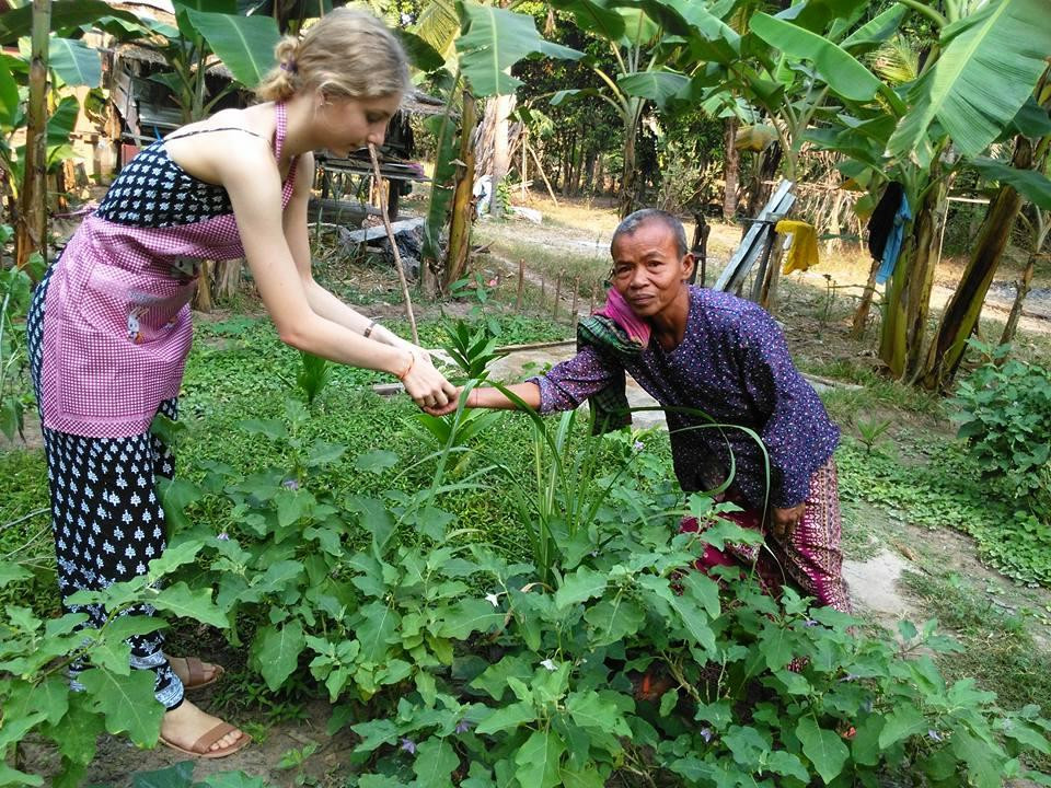 Khmer Family Local Tours-暹粒必去景点