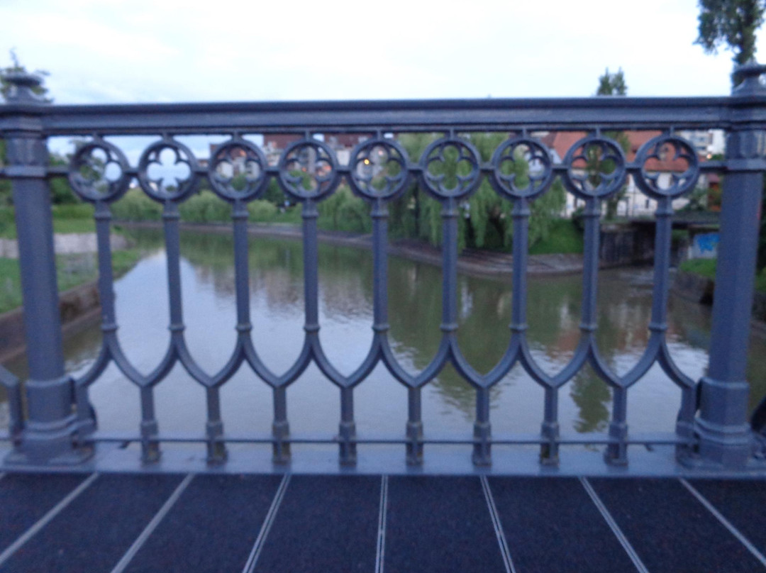 Hradecky Bridge-卢布尔雅那必去景点