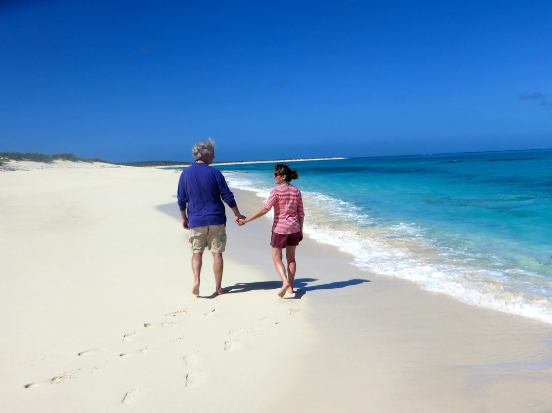 Blackbeards Quarters主图