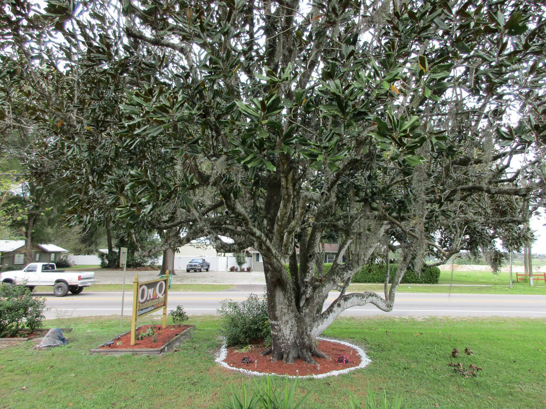 Saint Leo旅游攻略图片