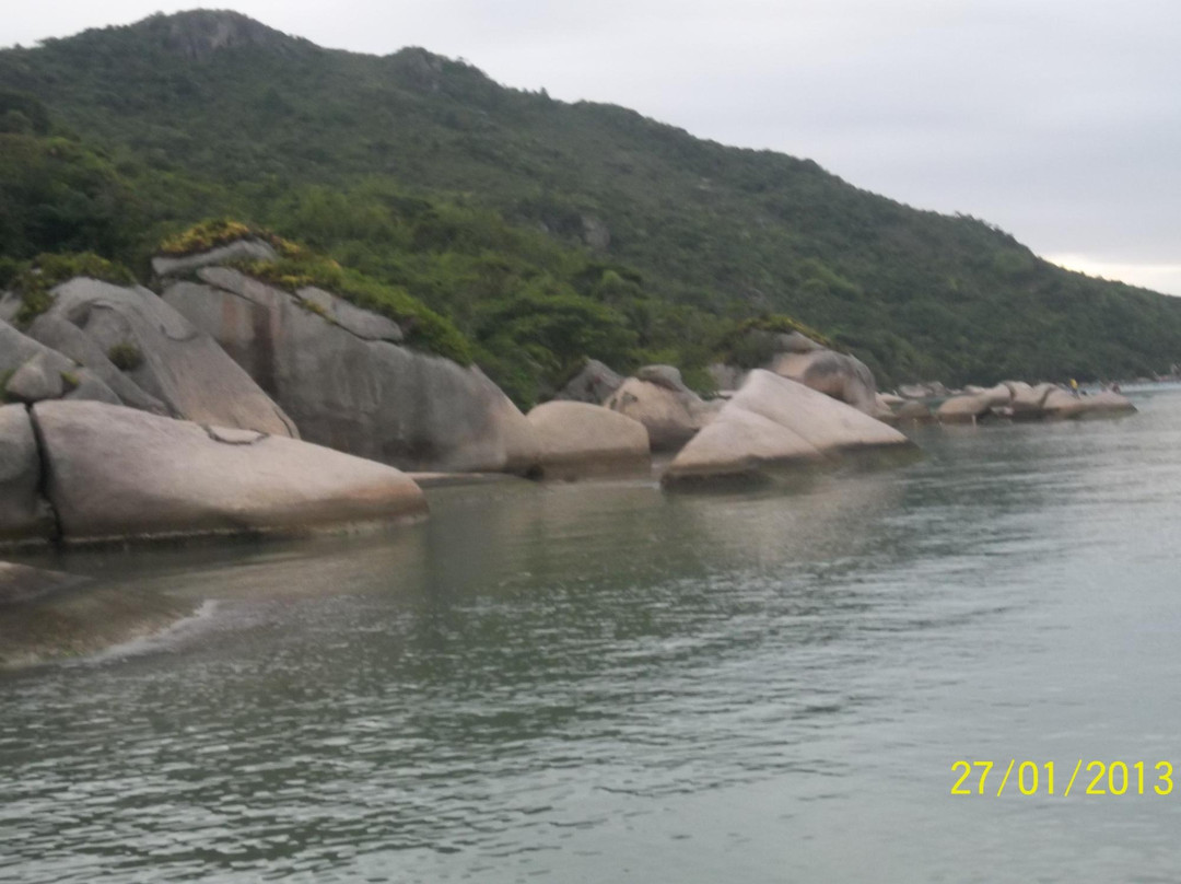 Reserva Biologica Marinha do Arvoredo景点图片