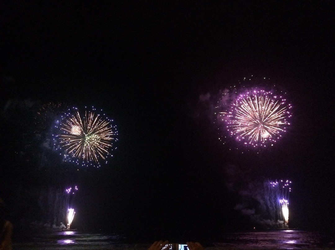 Yugawara Beach-汤河原町必去景点