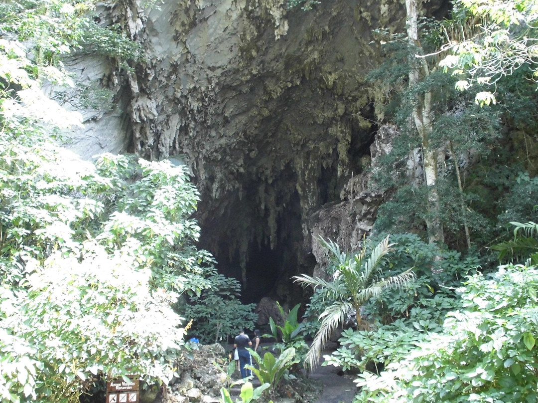 Cave of Guacharo景点图片