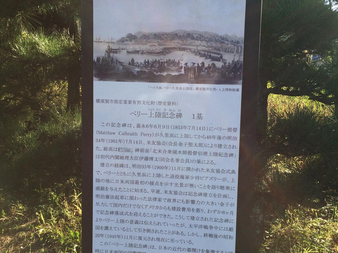 Perry Park景点图片