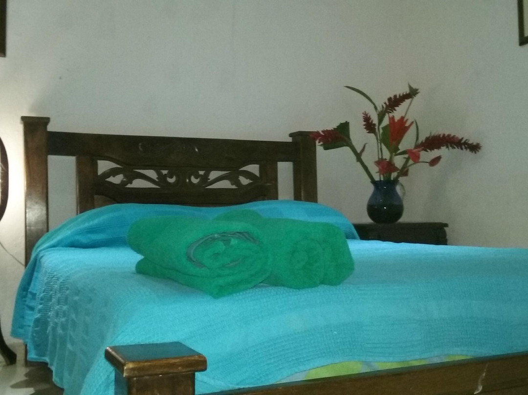 El Paraiso de Tuki B&B Cafe y Cacao Farm