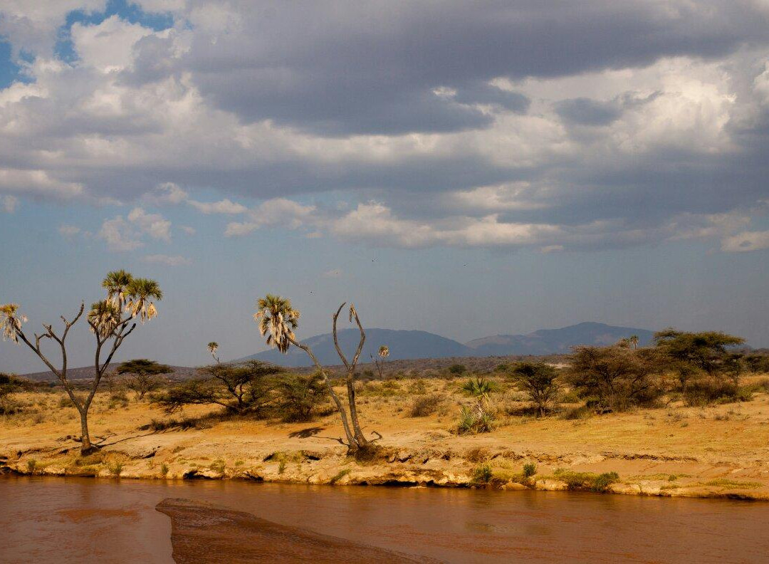 Umoja Camp Site