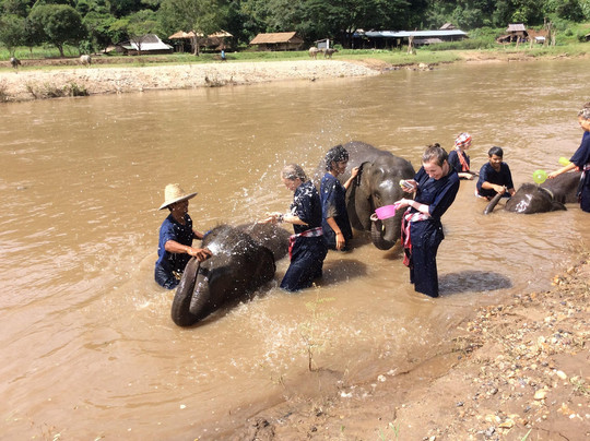 昌泰大象保护区-清迈必去景点