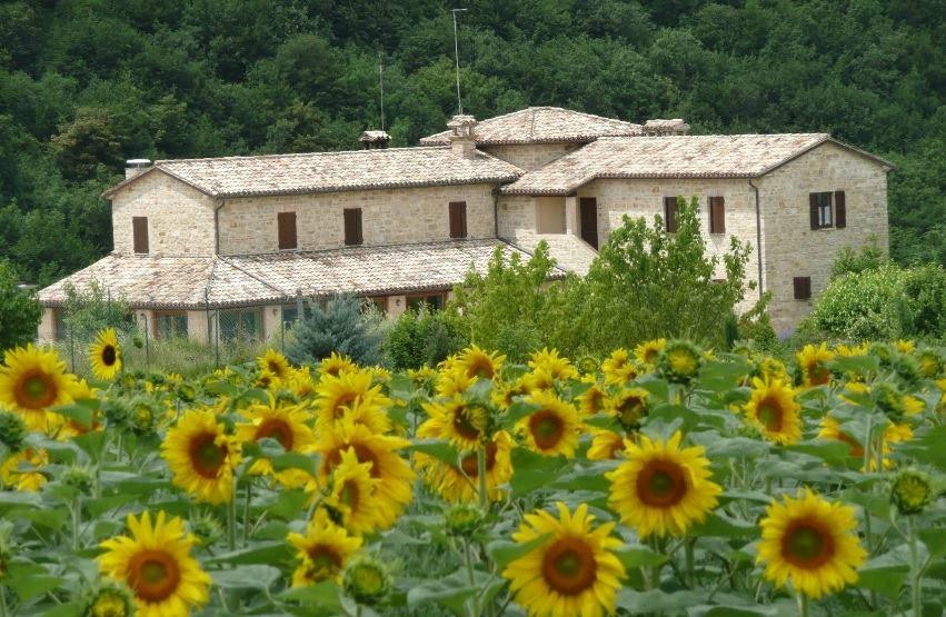 Casale Fabrizi