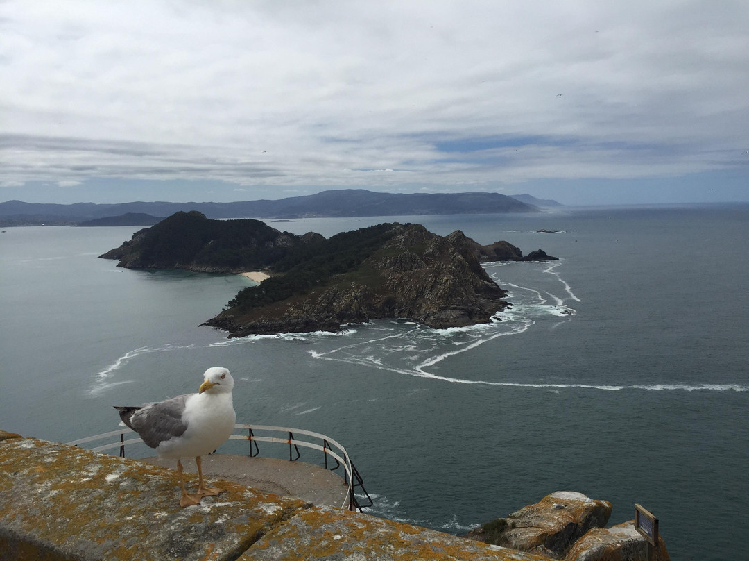 Islas Cíes-Cies Islands必去景点