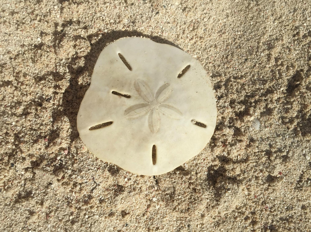 Antilles EcoQuest-Havensight必去景点