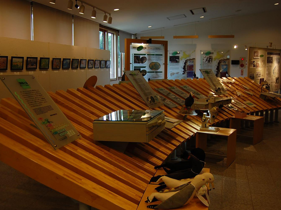 Hokkaido Seabird Center-羽幌町必去景点