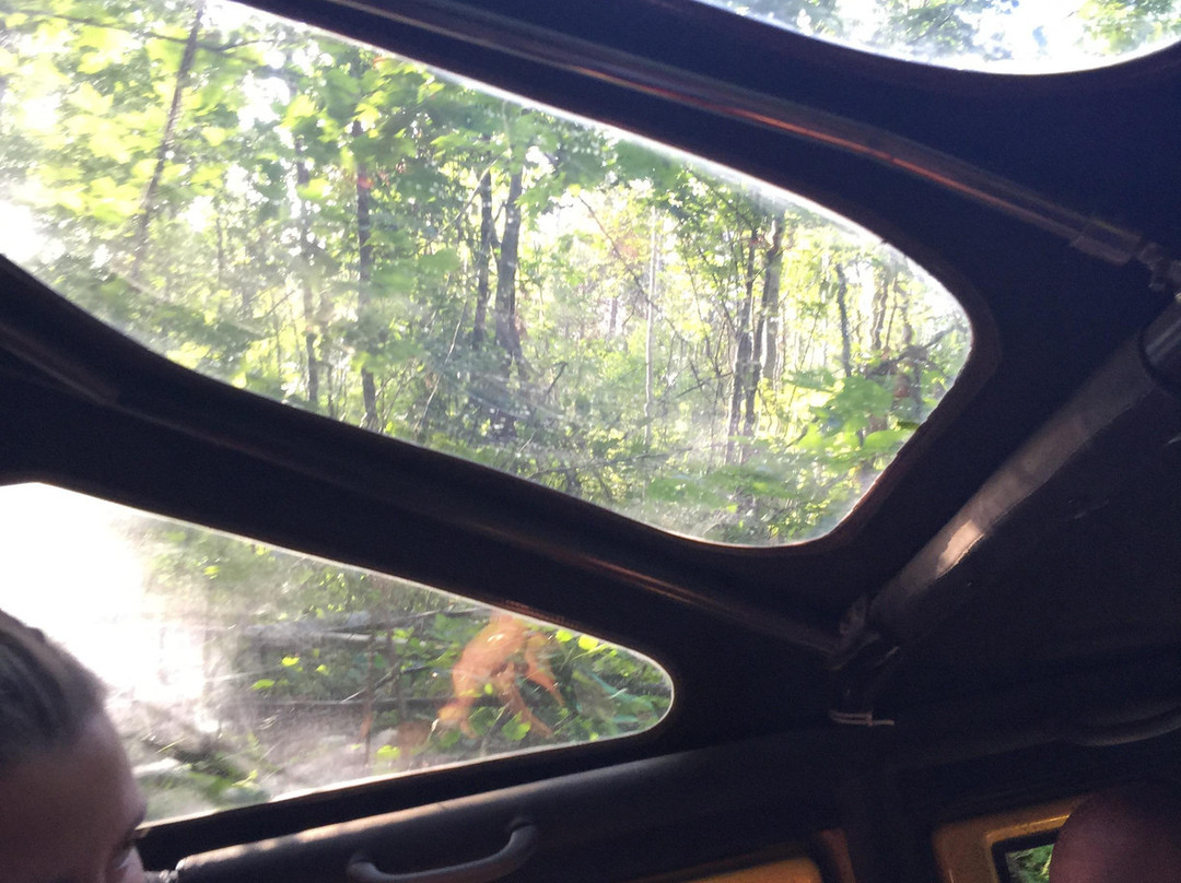 Horseshoe Hummer Tours-巴利必去景点