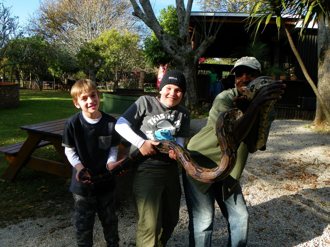 Lawnwood Snake Sanctuary-The Crags必去景点