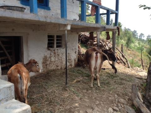 Kumharla Yuva Mandal NGO - Day Tours景点图片