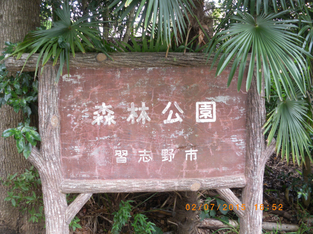 Fujisaki Shinrin Park-习志野市必去景点
