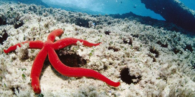 SubVillage-克罗托内必去景点