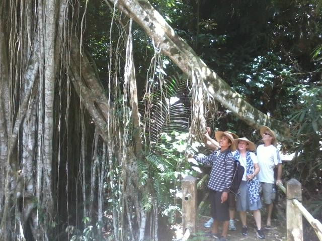 Herb Walk-邦利必去景点
