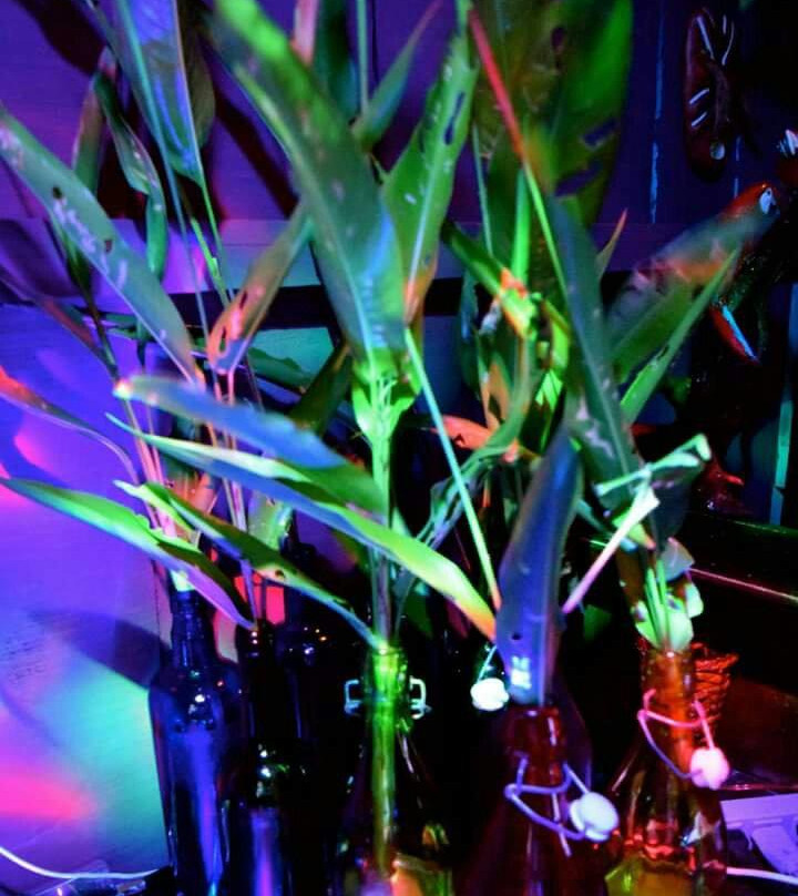 Praia do Atalaia-Salinopolis必去景点