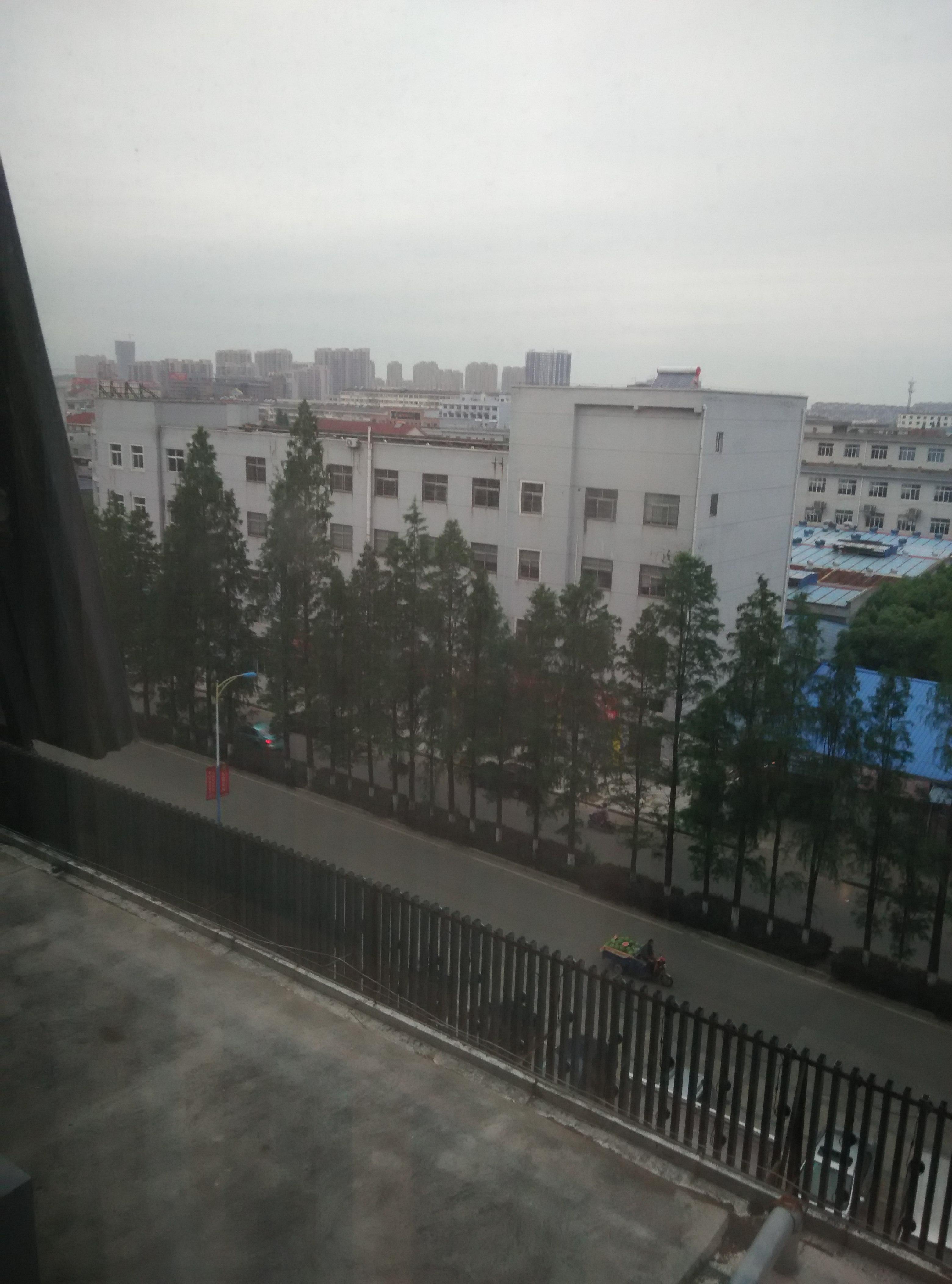 岳林大酒店-客卧