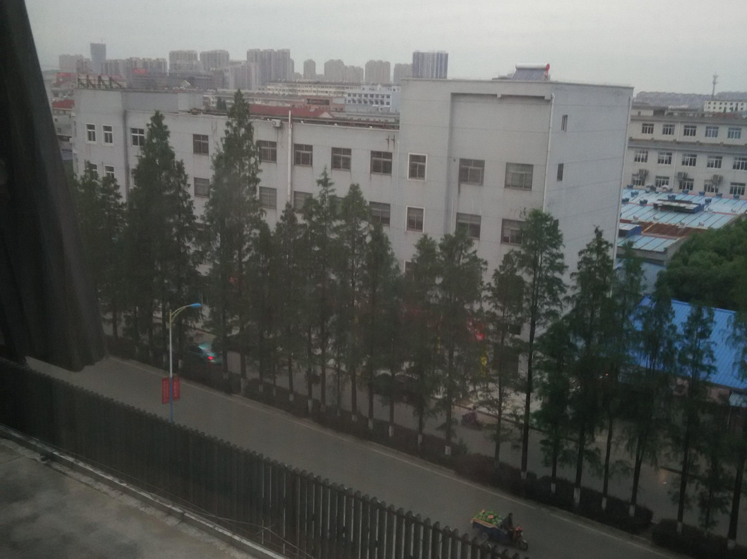 岳林大酒店主图