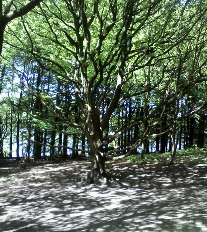 Rivington Pike-Rivington必去景点