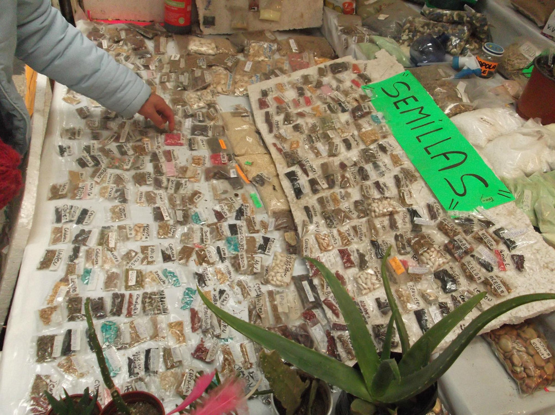 Feria Modelo de Ovalle-Ovalle必去景点