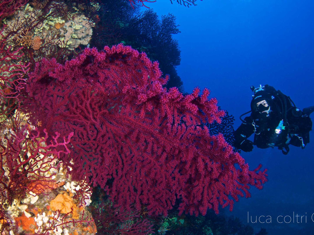 Pianeta Blu Diving Center-文蒂米利亚必去景点