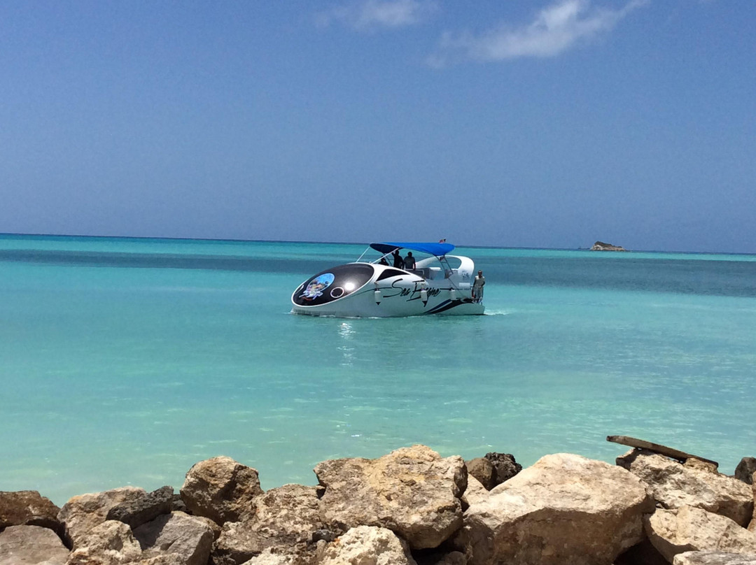 Sea Escape Tours-乔治城必去景点