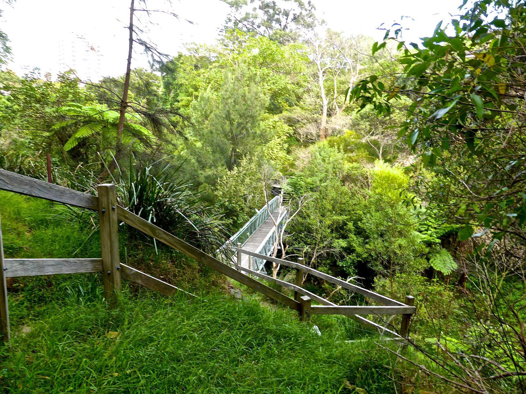 Fred Hollows Reserve-兰德威克必去景点