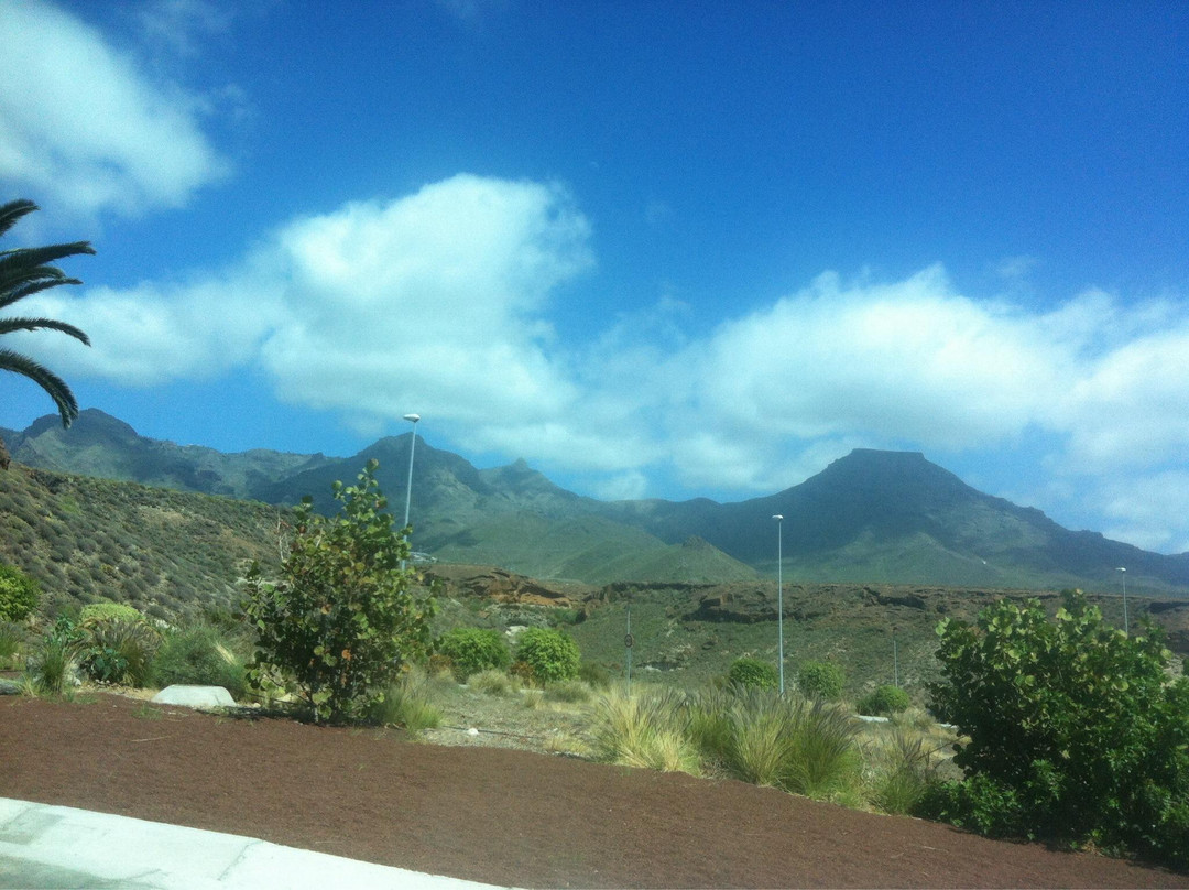 Tenerife Parapente-特内里费岛必去景点