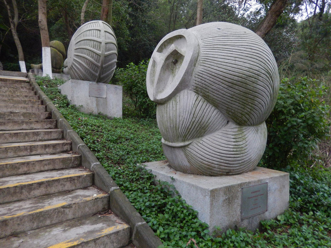 Foraminifera Sculpture Park-中山市必去景点
