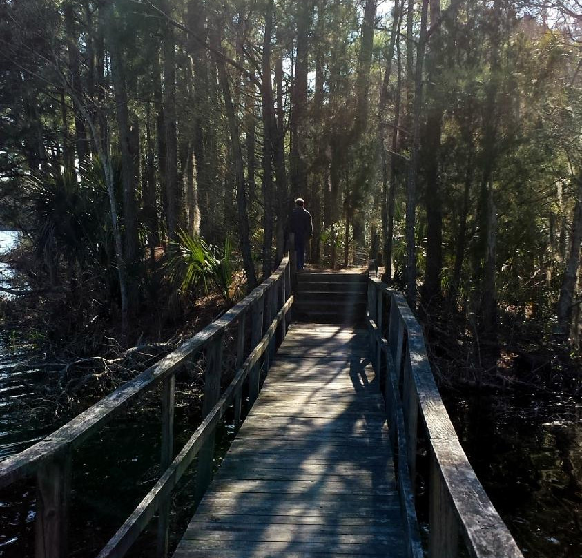Laurel Hill County Park景点图片
