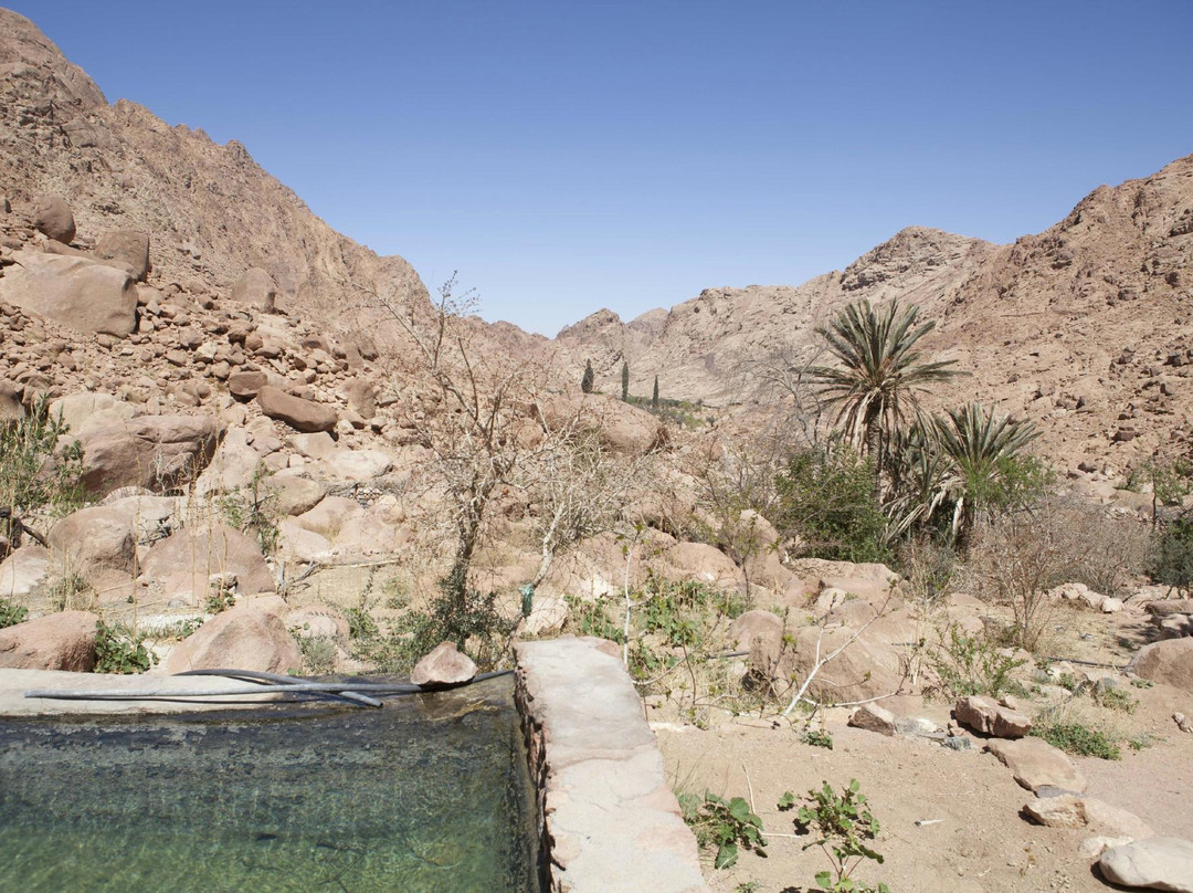 Masoudi Lodge