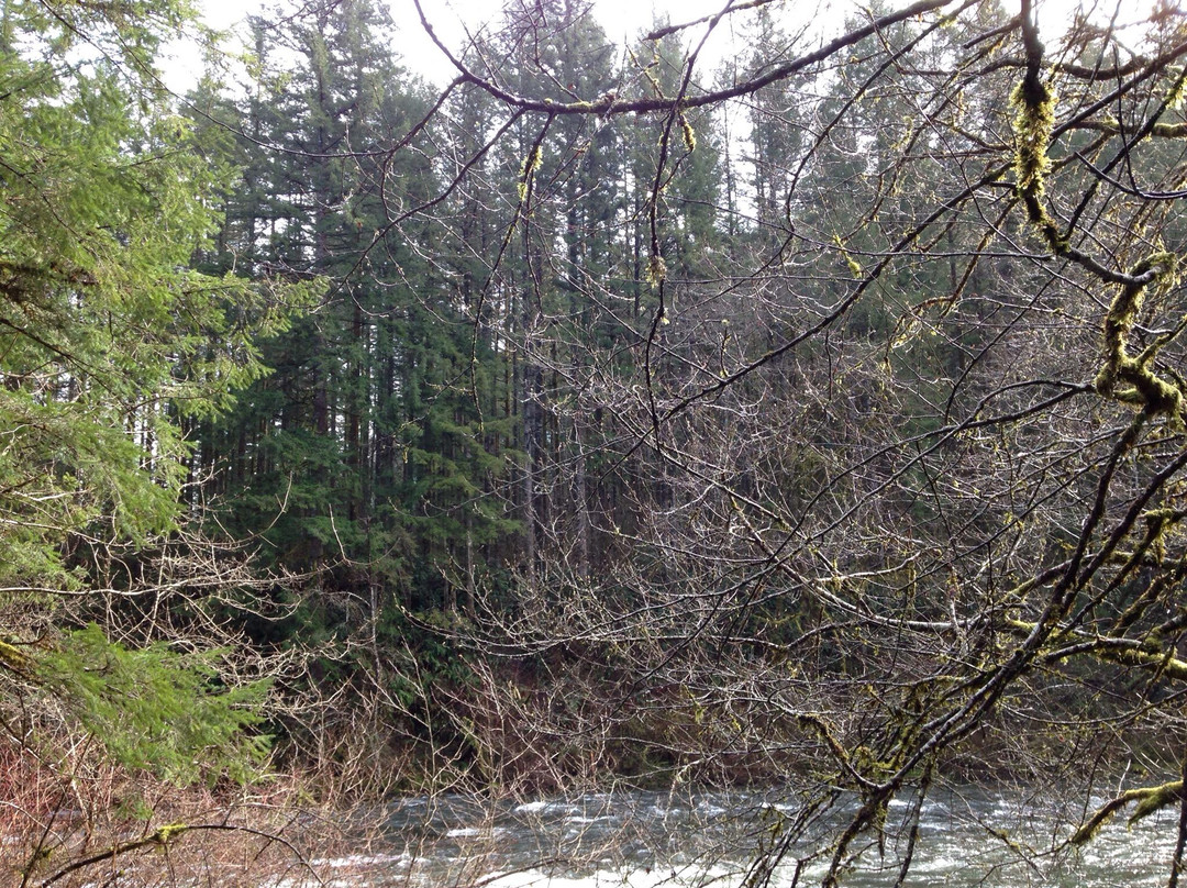 Moulton Falls Regional Park景点图片