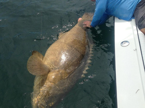 Chew On This-开普科勒尔必去景点