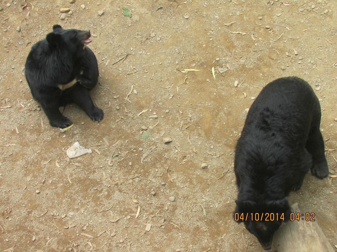 Renuka Wildlife Sanctuary景点图片
