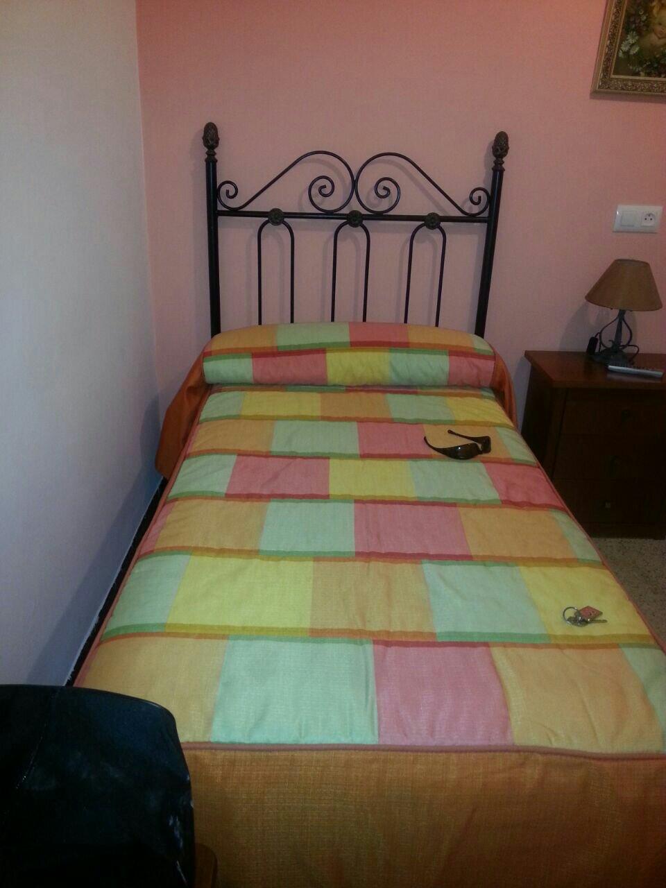 Hostal Los Claveles-客卧