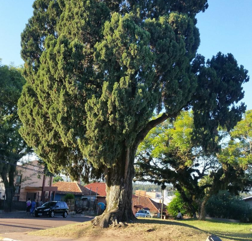 Cipestre Farroupilha-Guaiba必去景点